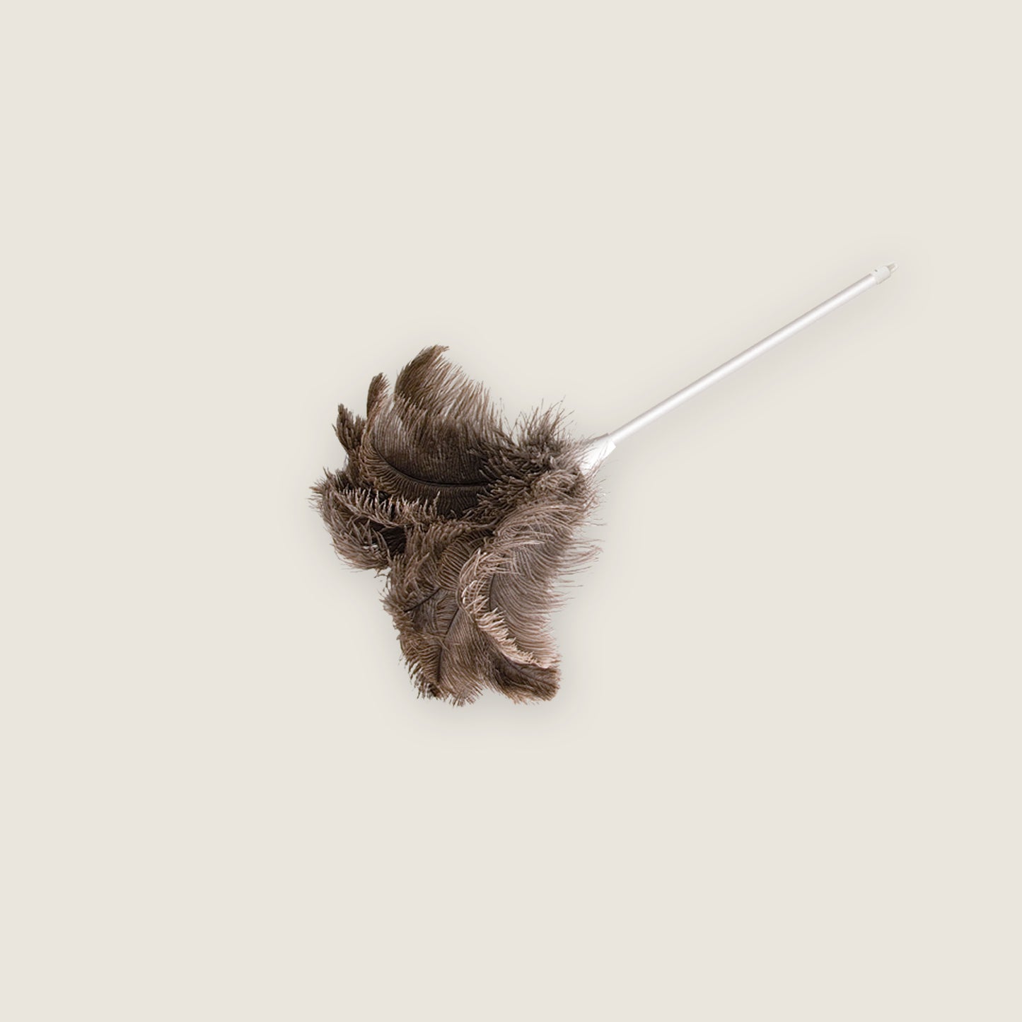 Feather Duster